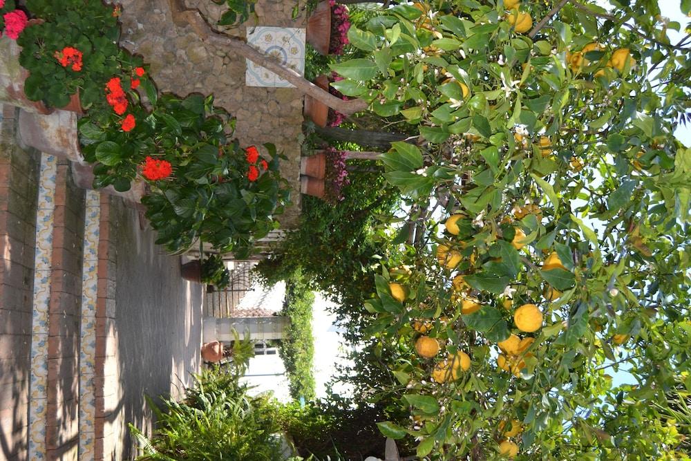 Piccolo Tirreno Hotel Residence Procida Ngoại thất bức ảnh