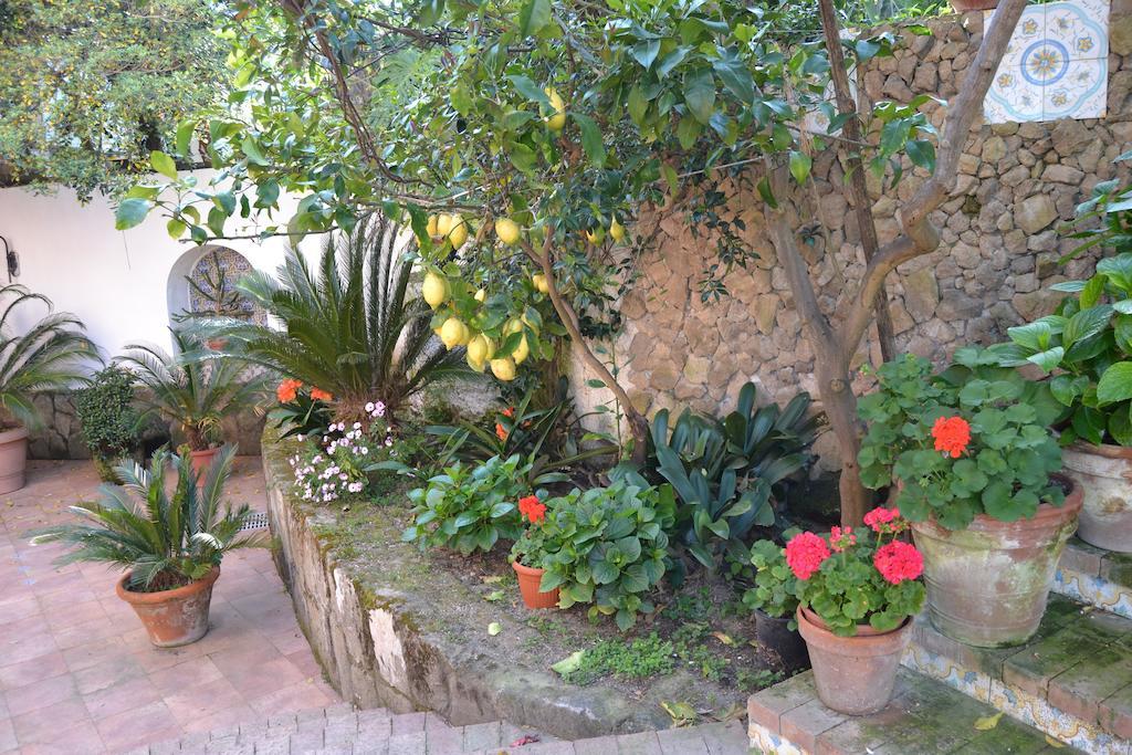 Piccolo Tirreno Hotel Residence Procida Ngoại thất bức ảnh