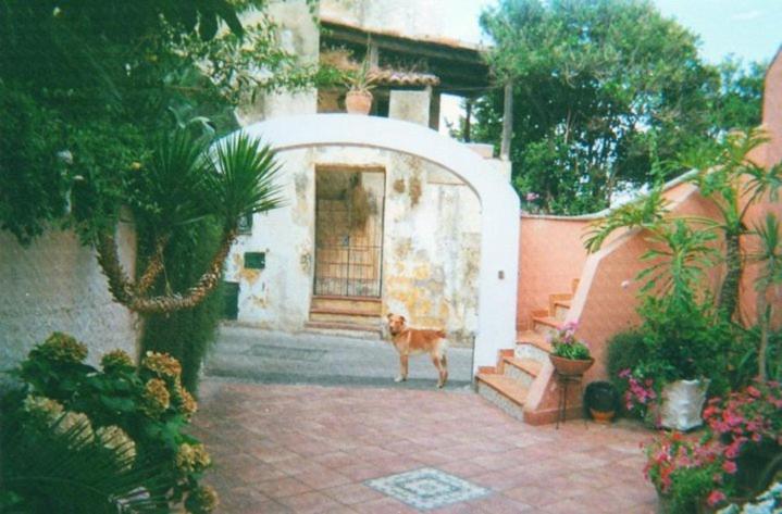 Piccolo Tirreno Hotel Residence Procida Ngoại thất bức ảnh